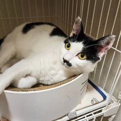 慣れ慣れでカギシッポの可愛いつむぎちゃん