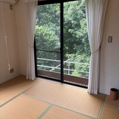 畳差し上げますの画像