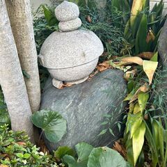 庭石差し上げます。の画像