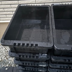 NV BOX13 22の画像