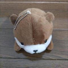 ぬいぐるみの画像
