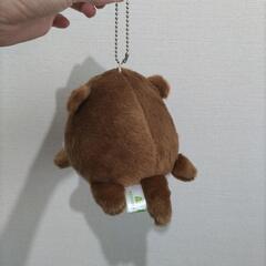 ぬいぐるみの画像
