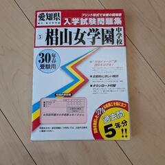 椙山女学園中学校　過去問題集の画像