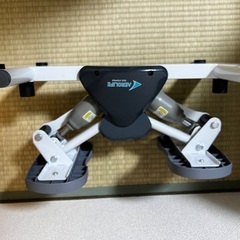 AEROLIFE エアロライフ　サイドステッパーの画像
