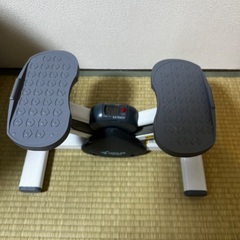 AEROLIFE エアロライフ　サイドステッパーの画像