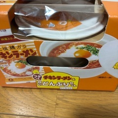 チキンラーメン白いドンブリの画像