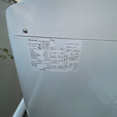 ✨ 電気洗濯乾燥機 ✨の画像