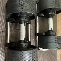 NUOBELL FLEXBELL 20kgの画像
