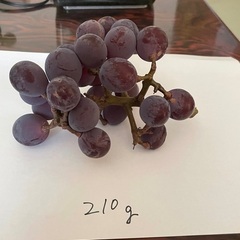 お話し中です　配送はしません　シャインマスカット　こぶりぶどう甘いの画像