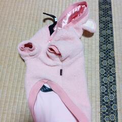 犬用の服👑の画像