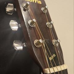 Morris w-18ギターの画像