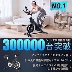 DMASUN エアロバイク スピンバイク 静音 フィットネスバイク 室内バイク ルームバイク 健康器具 有酸素運動 バイクビクスの画像