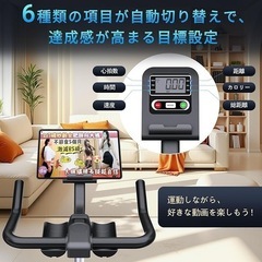 DMASUN エアロバイク スピンバイク 静音 フィットネスバイク 室内バイク ルームバイク 健康器具 有酸素運動 バイクビクスの画像