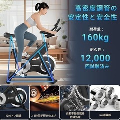DMASUN エアロバイク スピンバイク 静音 フィットネスバイク 室内バイク ルームバイク 健康器具 有酸素運動 バイクビクスの画像