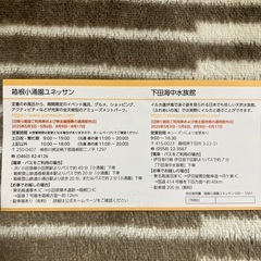 ユネッサン　2名無料券の画像