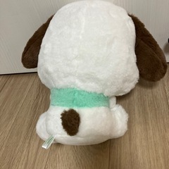 ぽちゃこ　ぬいぐるみ2個の画像