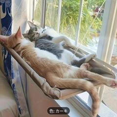 猫用ハンモックの画像