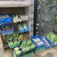無人野菜売り場　好きに野菜売って　芦田川土手道路側