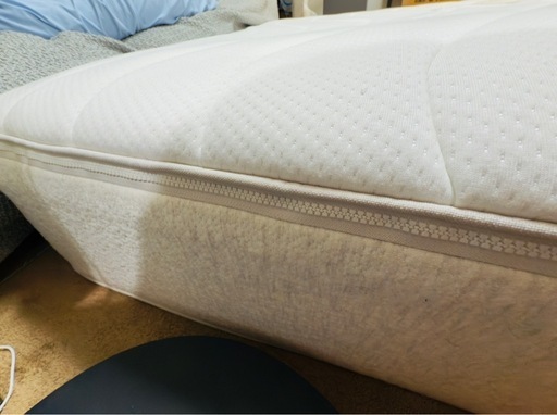 【1点限定★定価20万】最上級モデル コアラマットレス セミダブル BAMBOO バンブー