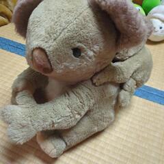 ぬいぐるみ　動物たち(8/22〜8/24午前)の画像