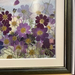 枯れない花、コスモスのドライフラワー絵画作品の画像