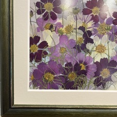 枯れない花、コスモスのドライフラワー絵画作品の画像