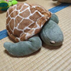 ぬいぐるみ　動物たち(8/22〜8/24午前)の画像