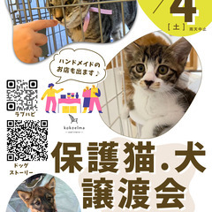 10/4 インテリアショップのkokoelmaで//保護猫＆保護...