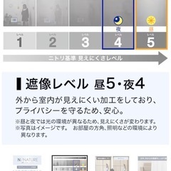 レースカーテン　遮像　採光　ニトリの画像