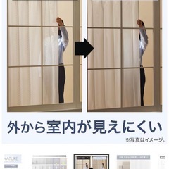 レースカーテン　遮像　採光　ニトリの画像