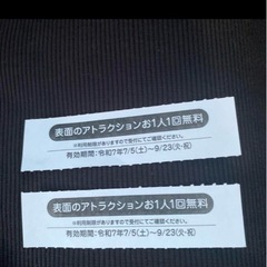 蓮沼ウォーターガーデン　アトラクションチケットの画像