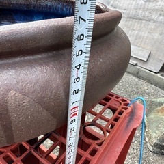 メダカ鉢　陶器　ビオトープの画像