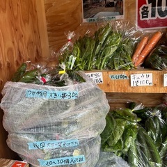 朝取立て　野菜の画像