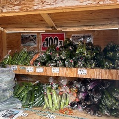 朝取立て　野菜の画像