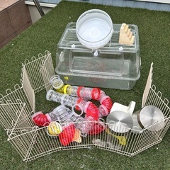 ハムスター　ゲージ　お散歩グッズの画像