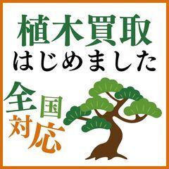 ☆全国対応「植木買取」サービス開始のお知らせ☆
