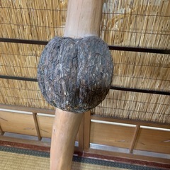 木のオブジェの画像