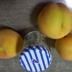 朝どり★桃★長岡市産つきかがみ※小さめB級品※糖度が高い黄桃22日の画像