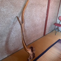 木のオブジェの画像