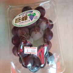 あいち三河　【種無し巨峰】　350g 1パック　税込480円の画像