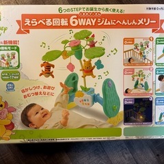 プーメリーの画像