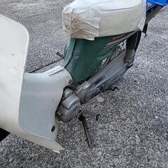SUZUKI バーディ50ccの画像