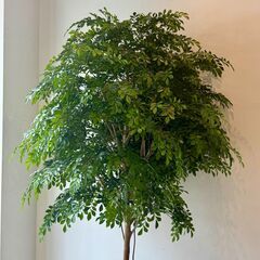 大型 フェイクグリーン 人工観葉植物 インテリアグリーン 高さ約2.2m 幅約1.4mの画像