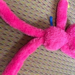 キシーミシー　ぬいぐるみの画像