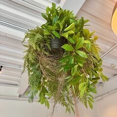吊り下げ式 フェイクグリーン 人工観葉植物 インテリアグリーン 高さ約80cm 幅約70cmの画像