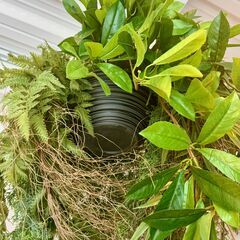 吊り下げ式 フェイクグリーン 人工観葉植物 インテリアグリーン 高さ約80cm 幅約70cmの画像