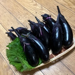 　採りたてナス　青じそおまけ有りの画像