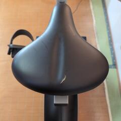 フィットネスバイクルームバイクの画像