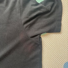 ユニクロ　ポロシャツ　アメリカンイーグル　Tシャツの画像