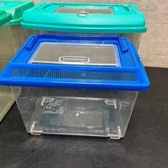 虫籠 虫カゴ 虫かご まとめての画像